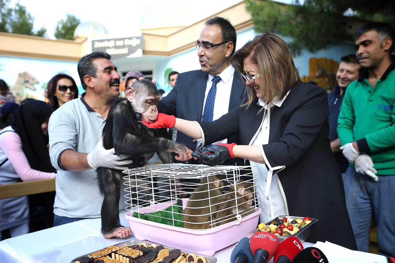 Makak maymunu yavruların isimleri belirlendi Makak maymunu yavruların isimleri belirlendi